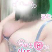 ヒメ日記 2025/12/05 12:06 投稿 えむ 埼玉熊谷ちゃんこ