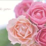 ヒメ日記 2026/01/25 16:00 投稿 みやこ 人妻最後の砦 大和本店