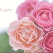 ヒメ日記 2026/02/12 10:50 投稿 みやこ 人妻最後の砦 大和本店