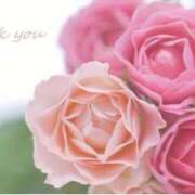 ヒメ日記 2026/02/26 13:45 投稿 みやこ 人妻最後の砦 大和本店