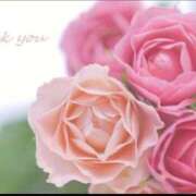 ヒメ日記 2026/03/18 08:14 投稿 みやこ 人妻最後の砦 大和本店