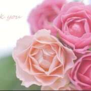 ヒメ日記 2026/03/18 17:59 投稿 みやこ 人妻最後の砦 大和本店