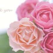 ヒメ日記 2026/04/05 17:30 投稿 みやこ 人妻最後の砦 大和本店