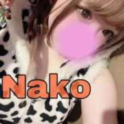 ヒメ日記 2025/04/02 14:52 投稿 なこ バタフライ立川