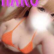 ヒメ日記 2025/04/06 15:22 投稿 なこ バタフライ立川