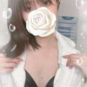 ヒメ日記 2025/04/15 14:23 投稿 れい 横浜しこたまクリニック