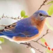 ヒメ日記 2025/05/31 23:43 投稿 れい 横浜しこたまクリニック