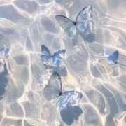 ヒメ日記 2025/06/16 09:03 投稿 れい 横浜しこたまクリニック