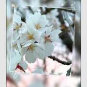 葉月すみれ 出勤♪♪ こあくまな熟女たち 倉敷店(KOAKUMAグループ)