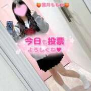 ヒメ日記 2025/11/18 09:09 投稿 葉月　ももか 寝取り×制服 義理義理な女学園