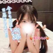 ヒメ日記 2026/03/25 08:09 投稿 葉月　ももか 寝取り×制服 義理義理な女学園