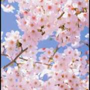 ヒメ日記 2025/04/05 15:49 投稿 西野未来 プルデリR40