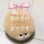 西野未来 ちら プルデリR40