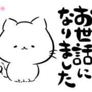 ヒメ日記 2025/12/31 16:06 投稿 ほまれ 奥鉄オクテツ大阪