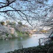 ヒメ日記 2025/04/14 14:43 投稿 あいり 秘密の出張部屋