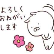 ヒメ日記 2025/04/19 06:59 投稿 泉 まい 熟女パラダイス鶯谷店(カサブランカグループ)