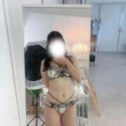 ヒメ日記 2025/12/19 13:12 投稿 なの Evolution 2nd