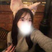 ヒメ日記 2026/04/11 12:23 投稿 なの Evolution 2nd