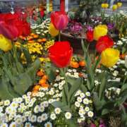 ヒメ日記 2025/04/06 16:16 投稿 かこ 明石の熟女達・女華