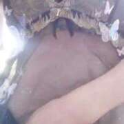 ヒメ日記 2025/08/06 09:05 投稿 かこ 明石の熟女達・女華