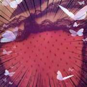 ヒメ日記 2025/08/24 09:52 投稿 かこ 明石の熟女達・女華