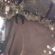 ヒメ日記 2025/09/13 08:24 投稿 かこ 明石の熟女達・女華