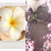 ヒメ日記 2025/10/06 10:34 投稿 かこ 明石の熟女達・女華