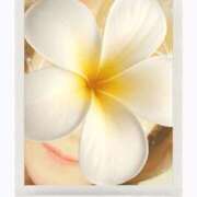 ヒメ日記 2025/10/27 19:44 投稿 かこ 明石の熟女達・女華