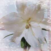 ヒメ日記 2025/11/07 16:47 投稿 かこ 明石の熟女達・女華