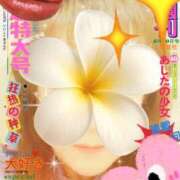 ヒメ日記 2025/12/20 09:38 投稿 かこ 明石の熟女達・女華