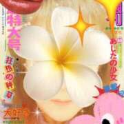 ヒメ日記 2026/02/20 07:48 投稿 かこ 明石の熟女達・女華