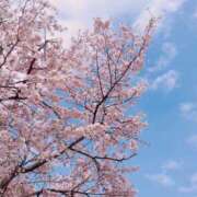 ヒメ日記 2025/04/05 16:40 投稿 りか 横浜ミセスアロマ（ユメオト）