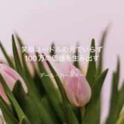 ヒメ日記 2025/04/18 07:57 投稿 りか 横浜ミセスアロマ（ユメオト）