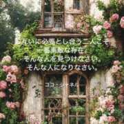 ヒメ日記 2025/05/16 08:01 投稿 りか 横浜ミセスアロマ（ユメオト）
