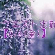 ヒメ日記 2025/06/03 17:36 投稿 りか 横浜ミセスアロマ（ユメオト）