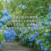 ヒメ日記 2025/06/10 08:20 投稿 りか 横浜ミセスアロマ（ユメオト）