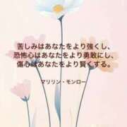 ヒメ日記 2025/06/13 07:52 投稿 りか 横浜ミセスアロマ（ユメオト）