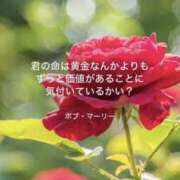 ヒメ日記 2025/07/17 07:58 投稿 りか 横浜ミセスアロマ（ユメオト）