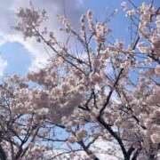 ヒメ日記 2025/04/08 06:08 投稿 るり One More奥様　厚木店