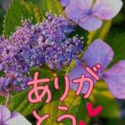 ヒメ日記 2025/06/14 07:38 投稿 るり One More奥様　厚木店