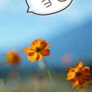 ヒメ日記 2025/10/06 09:07 投稿 るり One More奥様　厚木店