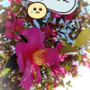 ヒメ日記 2026/01/15 17:57 投稿 るり One More奥様　厚木店