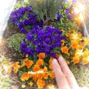 ヒメ日記 2026/03/22 12:17 投稿 るり One More奥様　厚木店