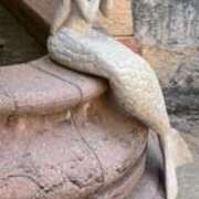 ヒメ日記 2025/08/21 21:54 投稿 すずの Welcome Cafe(ウェルカムカフェ) 八王子本店