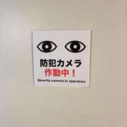 ヒメ日記 2025/09/10 20:34 投稿 すずの Welcome Cafe(ウェルカムカフェ) 八王子本店