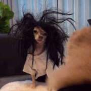 ヒメ日記 2025/11/22 13:54 投稿 すずの Welcome Cafe(ウェルカムカフェ) 八王子本店