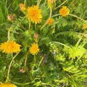 ヒメ日記 2026/04/16 12:49 投稿 みちる 佐久上田人妻隊