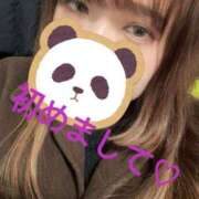 さくら 初めましてー！ 埼玉熊谷ちゃんこ