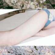 ヒメ日記 2025/04/04 23:38 投稿 長谷川なつほ 月の真珠-新宿-