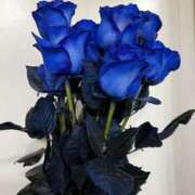 ヒメ日記 2025/08/18 13:13 投稿 五十幡みさ 全裸の極みorドッキング痴漢電車